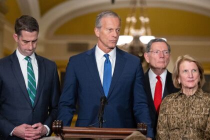 Thune accuses critics of 'creating false expectations' amid backlash over stalled SAVE America Act