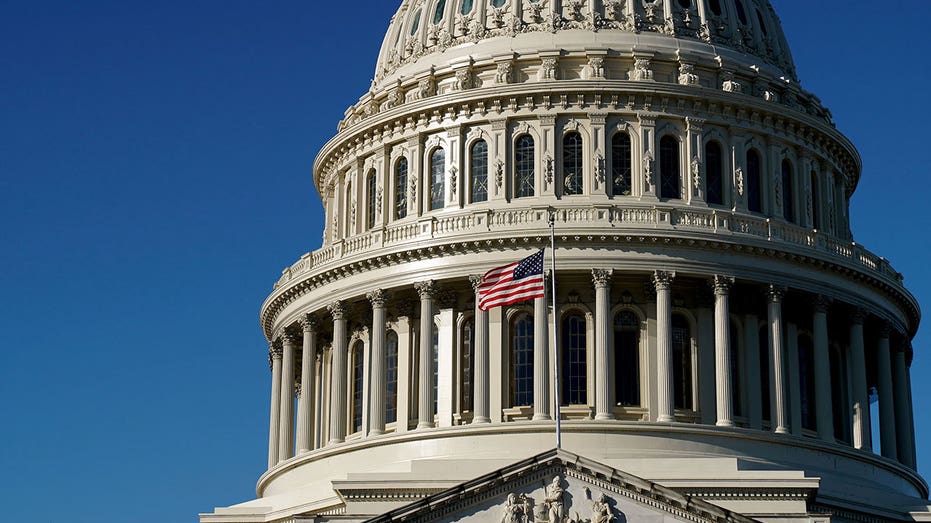 SEN JOHN KENNEDY: Democrats anti-ICE tantrum leaves Republicans with one option going forward