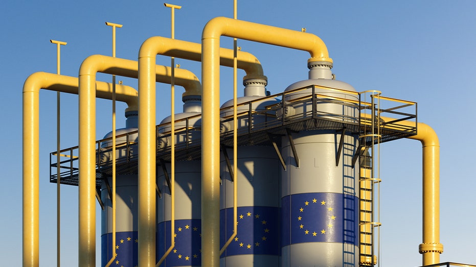 Either ignore climate change lunacy or high energy prices will make you wish you had