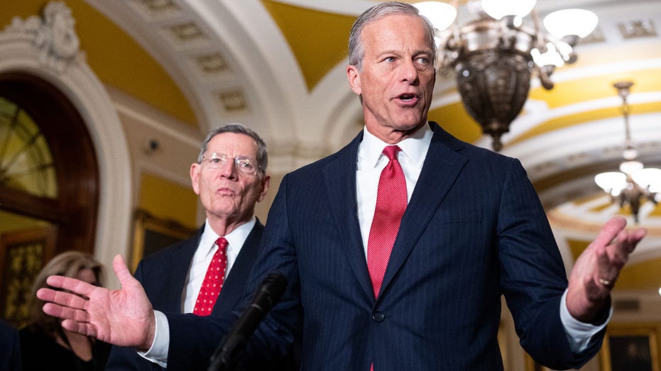 Thune-aligned groups unleash historic war chest to defend Senate majority: 'Winning message'