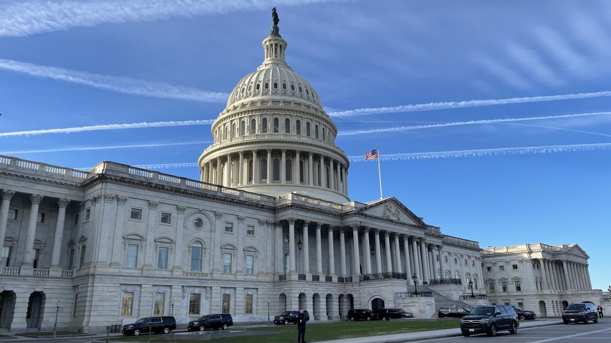 NEWT GINGRICH: Republicans can win the 2026 midterms â if they follow the plan